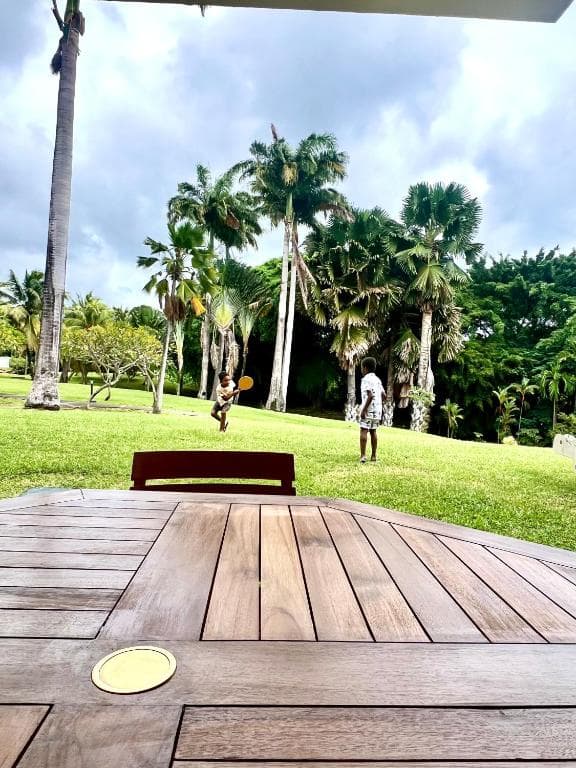 Vue jardin tropical depuis la terrasse